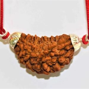 Eka-Mukhi Rudraksha Pendant with Gold Plating