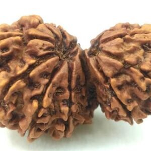 Gauri Shankar Collector Bead (Certified)