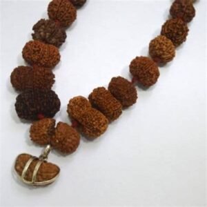 Rudraksha Chain (Mixed Mukhis)