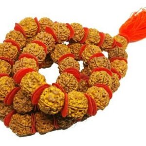 Sadhu Rudraksha Mala (Bold 20mm Beads)